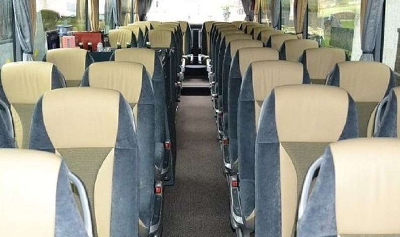 Switzerland: Coach operator in Aargau in Aargau and Rheinfelden
